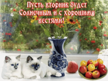 https://forumupload.ru/uploads/000e/ad/4d/11355/t665549.gif