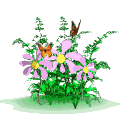 https://forumupload.ru/uploads/000e/ad/4d/28465/61326.gif