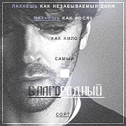 https://forumupload.ru/uploads/000f/09/5e/4938/186873.png