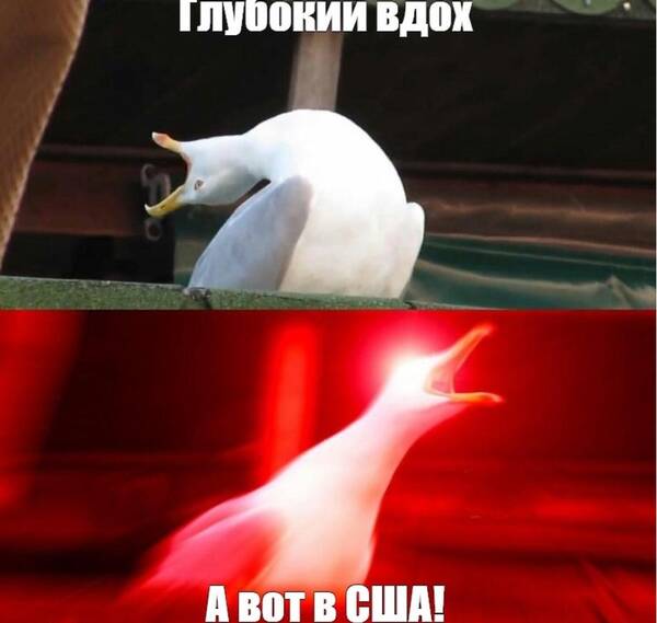 https://forumupload.ru/uploads/000f/a0/99/472/t587432.jpg