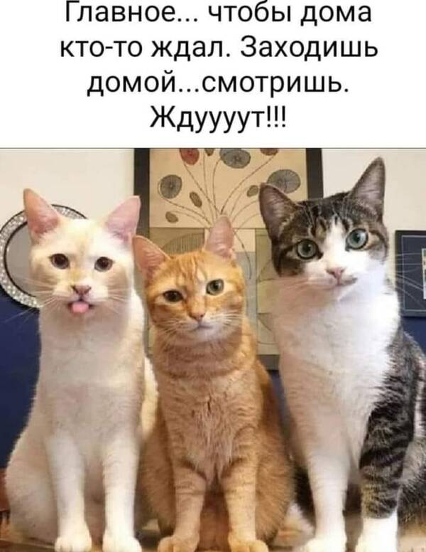https://forumupload.ru/uploads/000f/a0/99/590/t279314.jpg