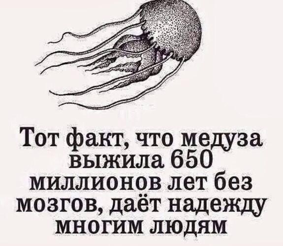 https://forumupload.ru/uploads/000f/a0/99/590/t30943.jpg