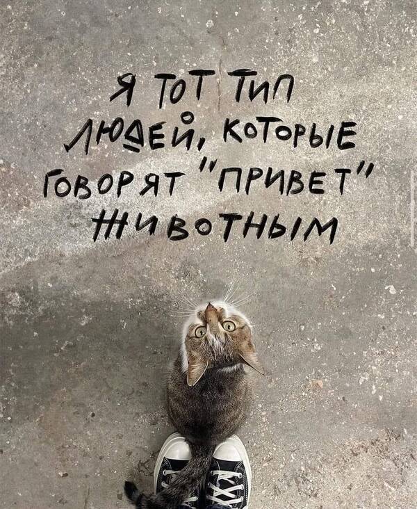 https://forumupload.ru/uploads/000f/a0/99/590/t924177.jpg
