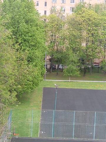 https://forumupload.ru/uploads/000f/a0/99/84/t441103.jpg