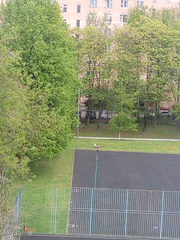 https://forumupload.ru/uploads/000f/a0/99/84/t503173.jpg