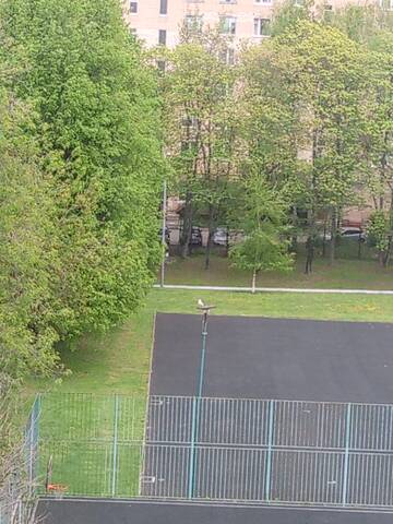 https://forumupload.ru/uploads/000f/a0/99/84/t517728.jpg