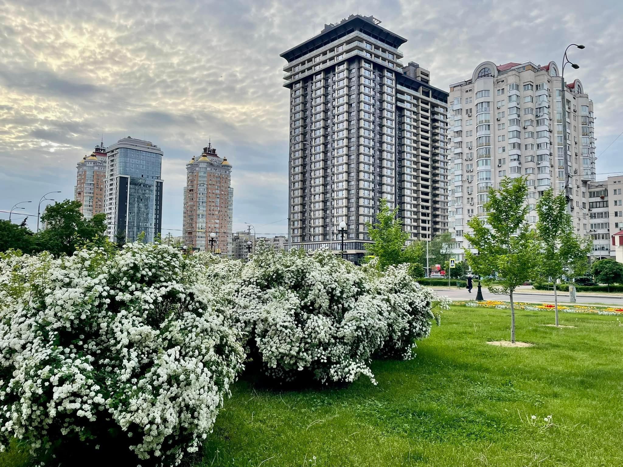 https://forumupload.ru/uploads/000f/a0/99/91/119879.jpg