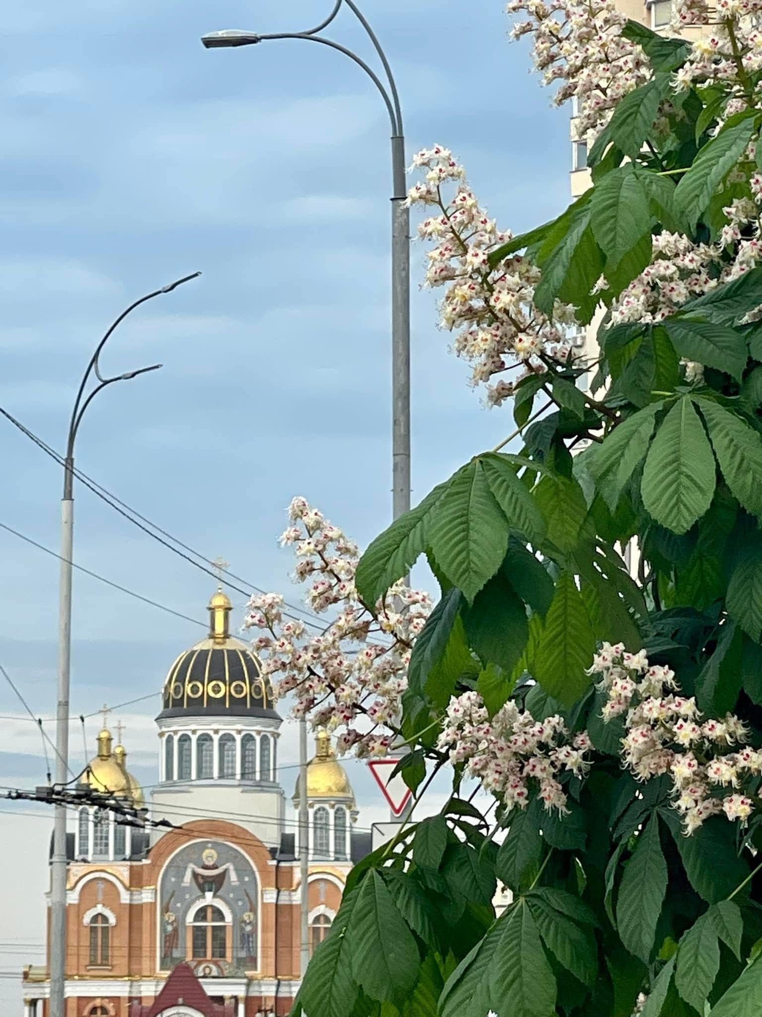 https://forumupload.ru/uploads/000f/a0/99/91/974579.jpg