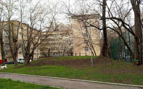 https://forumupload.ru/uploads/000f/b9/e8/2/t436337.jpg