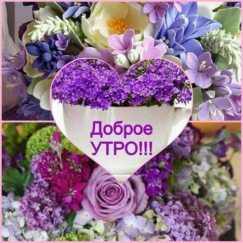 https://forumupload.ru/uploads/000f/b9/e8/7/t396233.jpg