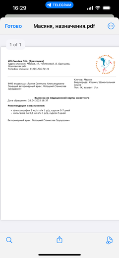 https://forumupload.ru/uploads/000f/f6/ce/1227/t104854.png