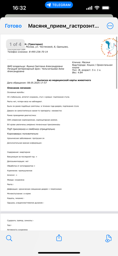 https://forumupload.ru/uploads/000f/f6/ce/1227/t139366.png