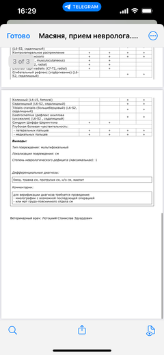 https://forumupload.ru/uploads/000f/f6/ce/1227/t198046.png
