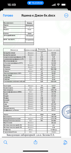 https://forumupload.ru/uploads/000f/f6/ce/1227/t255176.png