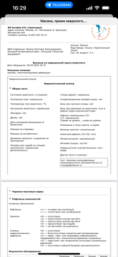 https://forumupload.ru/uploads/000f/f6/ce/1227/t261767.png