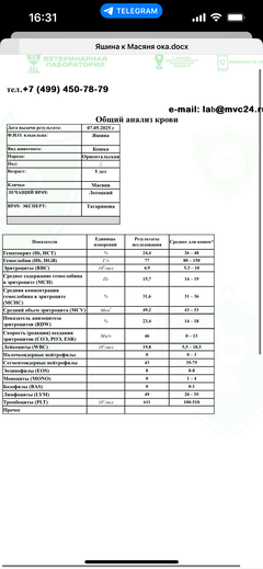 https://forumupload.ru/uploads/000f/f6/ce/1227/t313479.png