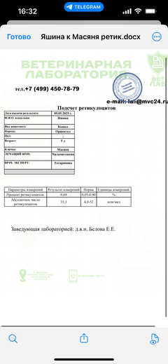 https://forumupload.ru/uploads/000f/f6/ce/1227/t433818.png