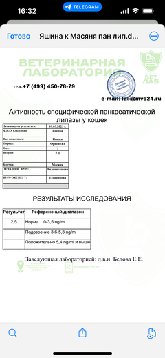 https://forumupload.ru/uploads/000f/f6/ce/1227/t505448.png