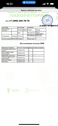 https://forumupload.ru/uploads/000f/f6/ce/1227/t538597.png