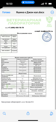 https://forumupload.ru/uploads/000f/f6/ce/1227/t544978.png