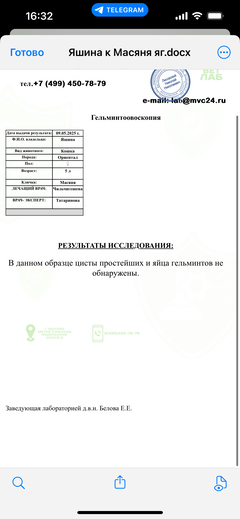 https://forumupload.ru/uploads/000f/f6/ce/1227/t661316.png
