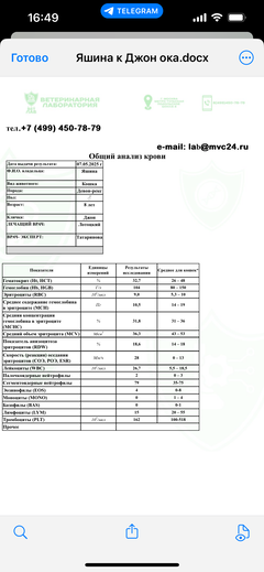 https://forumupload.ru/uploads/000f/f6/ce/1227/t741241.png