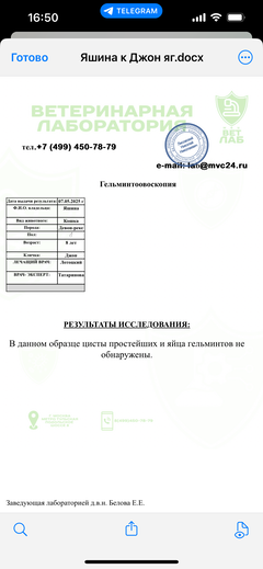 https://forumupload.ru/uploads/000f/f6/ce/1227/t753298.png