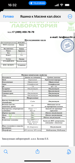 https://forumupload.ru/uploads/000f/f6/ce/1227/t767554.png