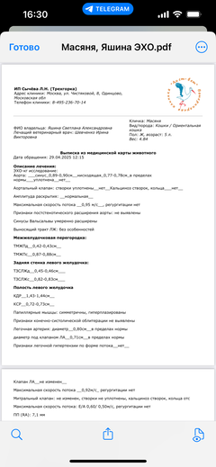 https://forumupload.ru/uploads/000f/f6/ce/1227/t768870.png