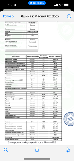 https://forumupload.ru/uploads/000f/f6/ce/1227/t817470.png