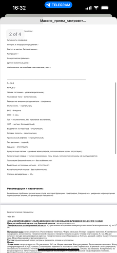 https://forumupload.ru/uploads/000f/f6/ce/1227/t989505.png