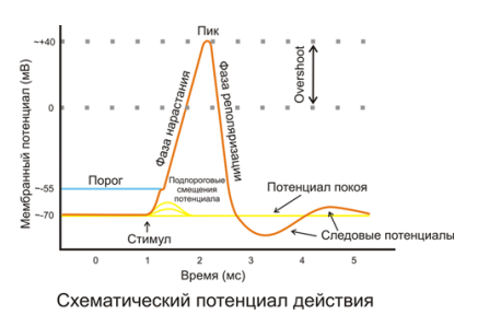 https://forumupload.ru/uploads/0010/6a/f9/2/100308.png