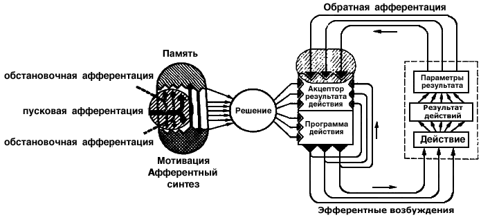 https://forumupload.ru/uploads/0010/6a/f9/2/219019.png