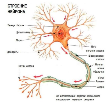 https://forumupload.ru/uploads/0010/6a/f9/2/250396.png