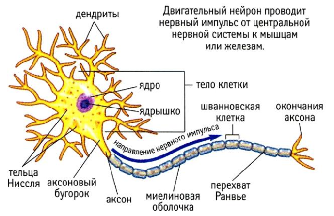 https://forumupload.ru/uploads/0010/6a/f9/2/973840.png