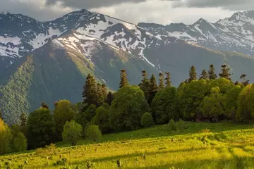 https://forumupload.ru/uploads/0010/90/3b/2/t813711.webp