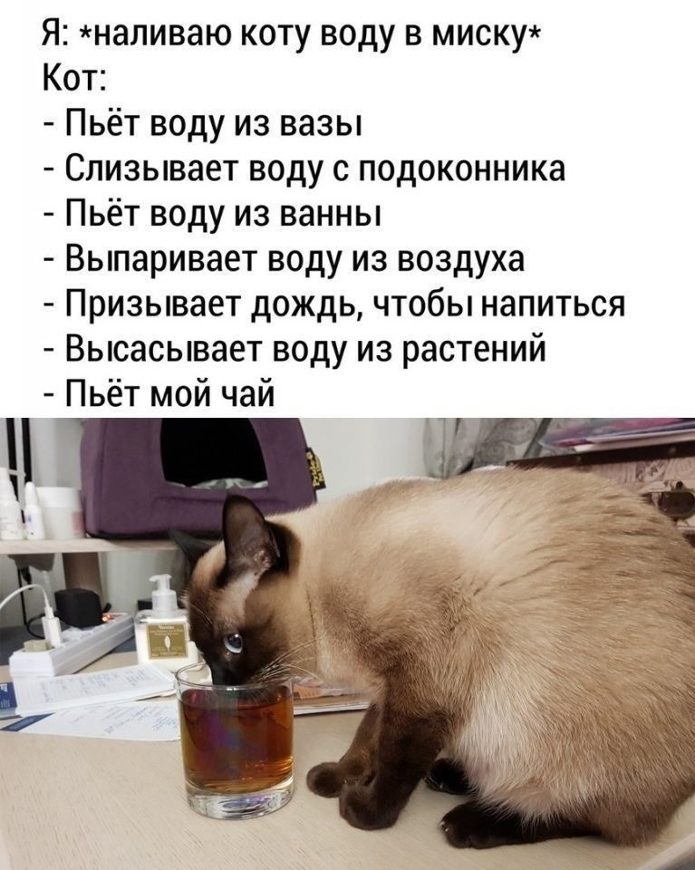 ПОДНИМИ СЕБЕ НАСТРОЕНИЕ :))) 475904