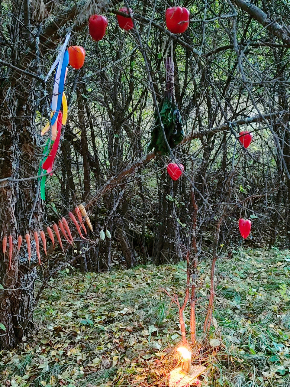 День Осеннего Равноденствия - Авсень, Таусень, Вересень, Осенины 691153