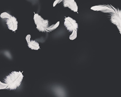https://forumupload.ru/uploads/0011/8f/0e/2/300536.png