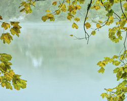 https://forumupload.ru/uploads/0011/8f/0e/2/521756.jpg