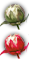 https://forumupload.ru/uploads/0011/8f/0e/2/725879.png