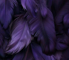 https://forumupload.ru/uploads/0011/8f/0e/2/87387.jpg