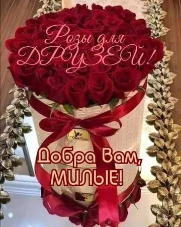 https://forumupload.ru/uploads/0012/15/01/666/t584674.webp