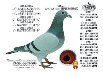 https://forumupload.ru/uploads/0012/5a/ef/345/t825832.jpg