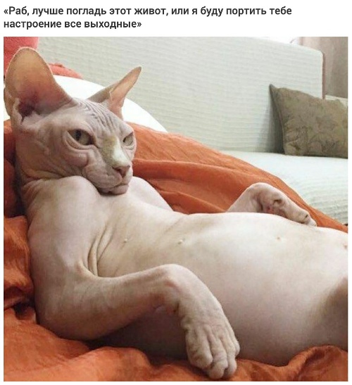 https://forumupload.ru/uploads/0012/6e/7d/1844/135110.jpg