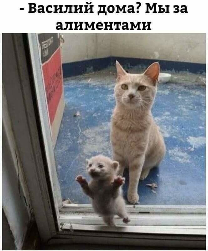 https://forumupload.ru/uploads/0012/6e/7d/1844/752788.jpg