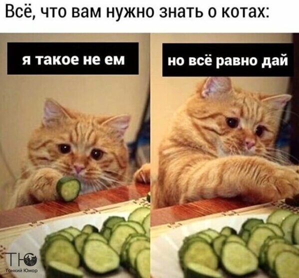 https://forumupload.ru/uploads/0012/6e/7d/1844/797671.jpg