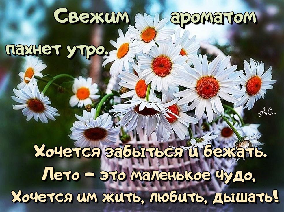 https://forumupload.ru/uploads/0012/6e/7d/1844/832773.jpg