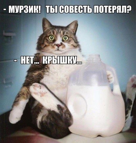 https://forumupload.ru/uploads/0012/6e/7d/1844/847943.jpg