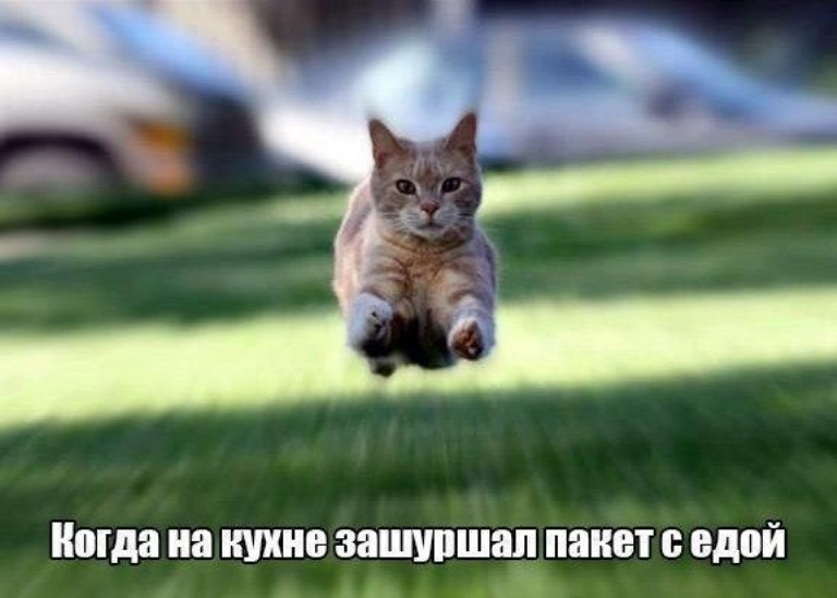 https://forumupload.ru/uploads/0012/6e/7d/1844/975099.jpg